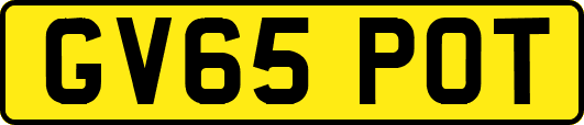 GV65POT