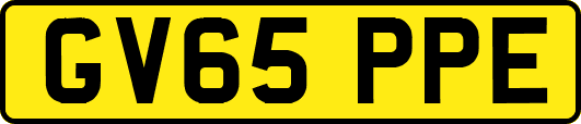 GV65PPE