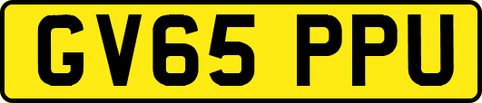 GV65PPU