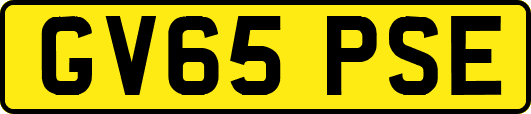 GV65PSE