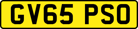 GV65PSO