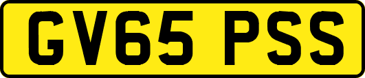 GV65PSS