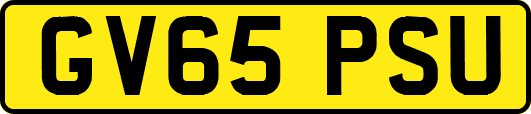 GV65PSU