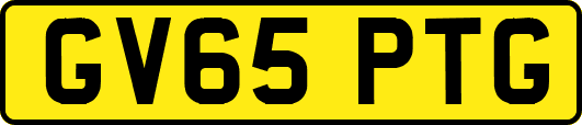 GV65PTG