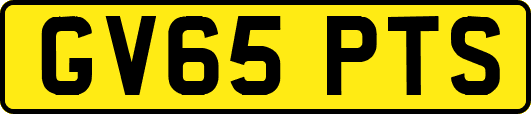 GV65PTS