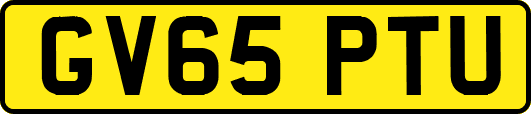GV65PTU