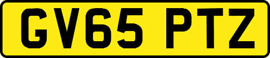 GV65PTZ