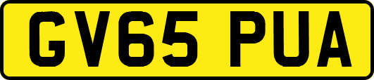 GV65PUA