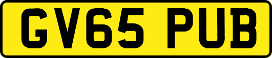 GV65PUB