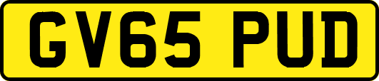 GV65PUD