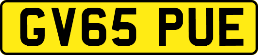 GV65PUE