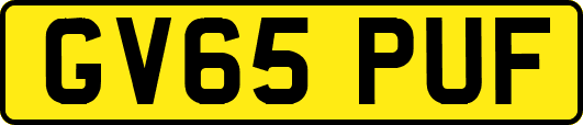 GV65PUF