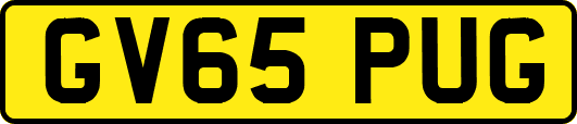 GV65PUG