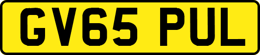 GV65PUL