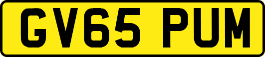 GV65PUM