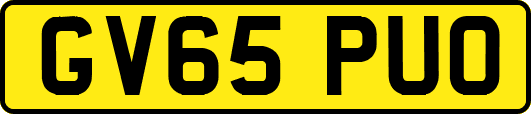 GV65PUO