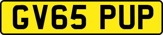GV65PUP