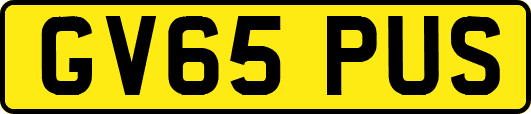 GV65PUS