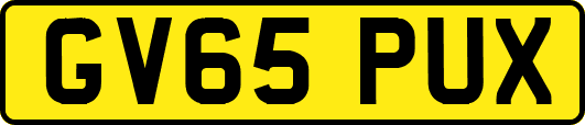 GV65PUX