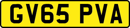 GV65PVA