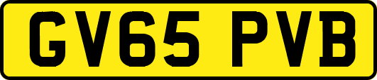 GV65PVB