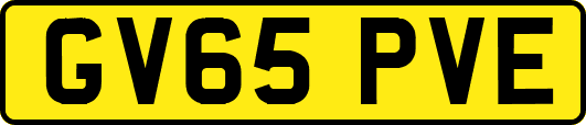 GV65PVE