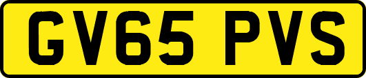 GV65PVS