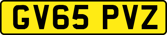 GV65PVZ