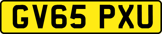 GV65PXU