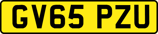 GV65PZU