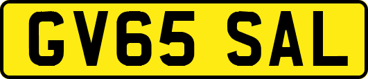 GV65SAL