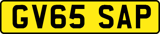 GV65SAP