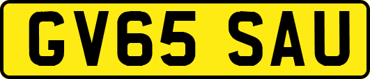 GV65SAU