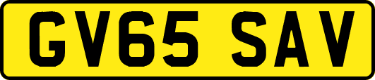 GV65SAV