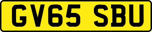 GV65SBU