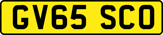GV65SCO
