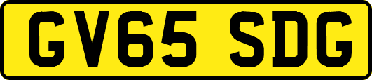 GV65SDG