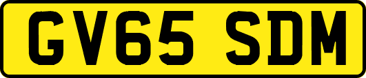 GV65SDM
