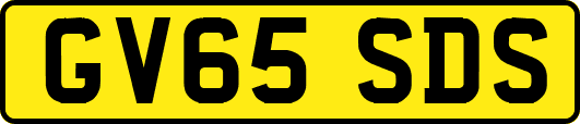 GV65SDS