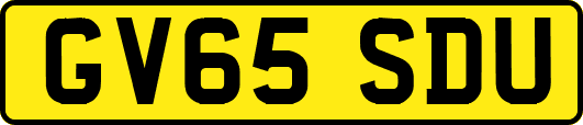 GV65SDU