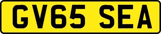 GV65SEA