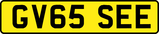 GV65SEE