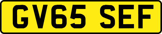 GV65SEF