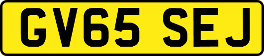 GV65SEJ