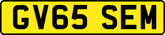 GV65SEM