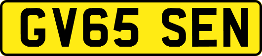 GV65SEN