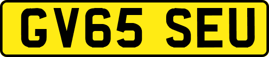 GV65SEU