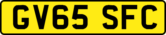 GV65SFC