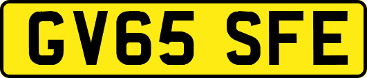 GV65SFE