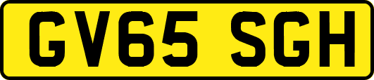 GV65SGH